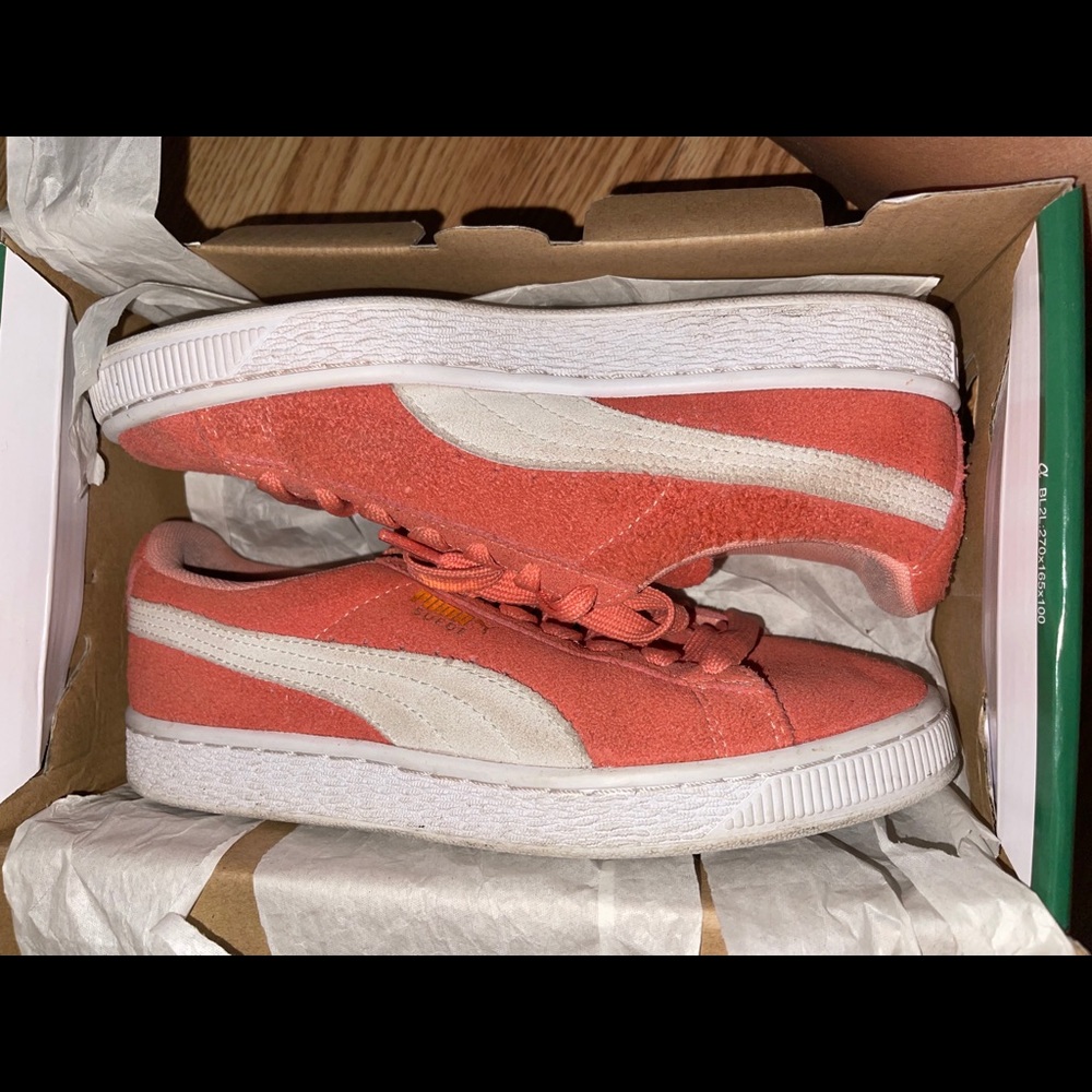 pumas